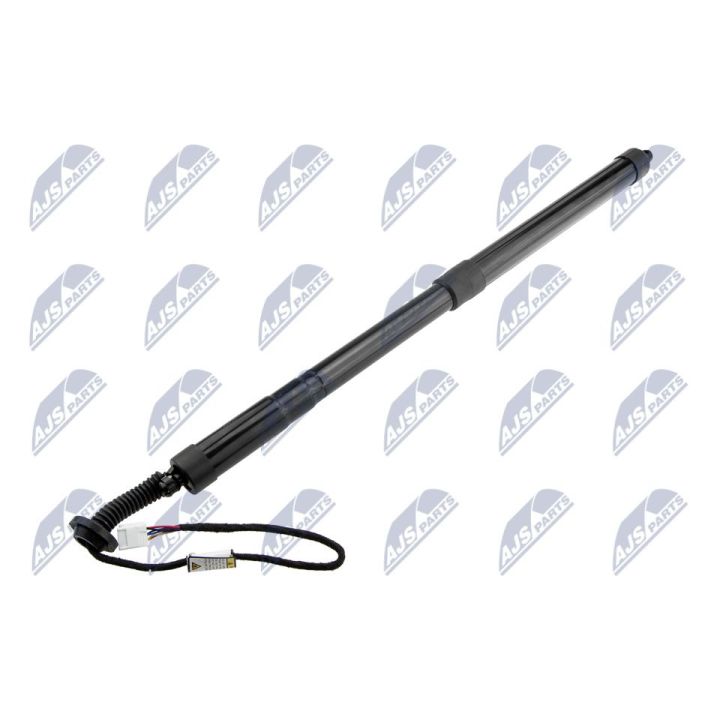 Galinių durų elektros variklis NTY AE-TY-038