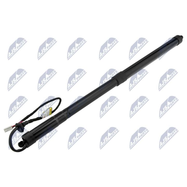 Galinių durų elektros variklis NTY AE-TY-040