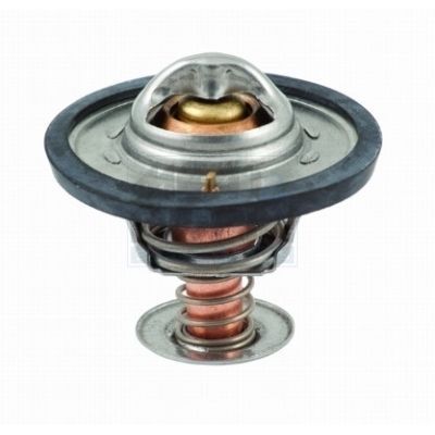 Termostatas, aušinimo skystis MEAT & DORIA 92091