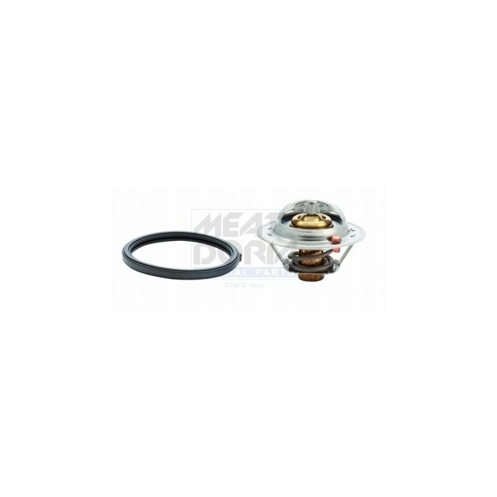 Termostatas, aušinimo skystis MEAT & DORIA 92635