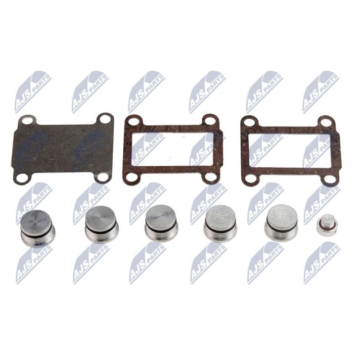 Remonto komplektas, įsiurbimo kolektoriaus modulis NTY BKS-FT-007