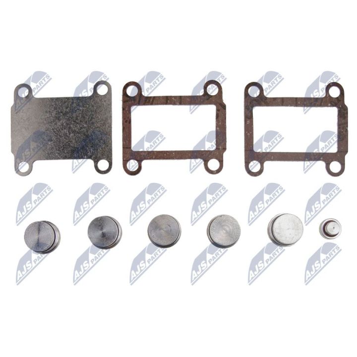 Remonto komplektas, įsiurbimo kolektoriaus modulis NTY BKS-FT-007