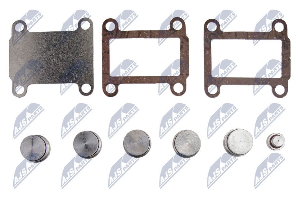 Remonto komplektas, įsiurbimo kolektoriaus modulis NTY BKS-FT-007