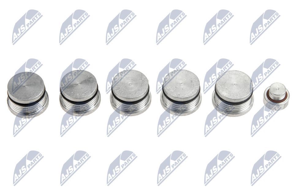 Remonto komplektas, įsiurbimo kolektoriaus modulis NTY BKS-FT-008