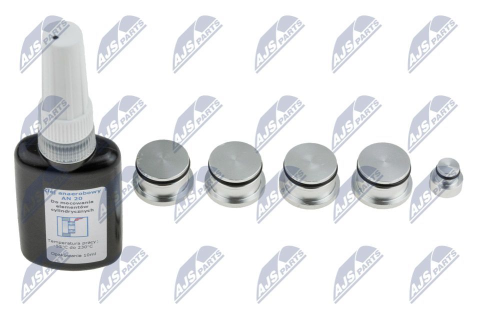 Remonto komplektas, įsiurbimo kolektoriaus modulis NTY BKS-PL-007