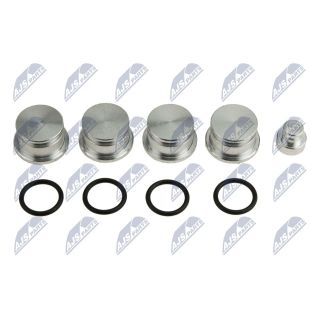 Remonto komplektas, įsiurbimo kolektoriaus modulis NTY BKS-PL-007A