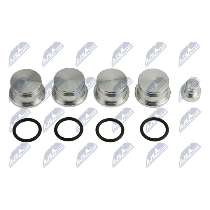 Remonto komplektas, įsiurbimo kolektoriaus modulis NTY BKS-PL-007A