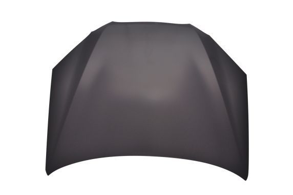 Gaubtas ABAKUS 019-52-100