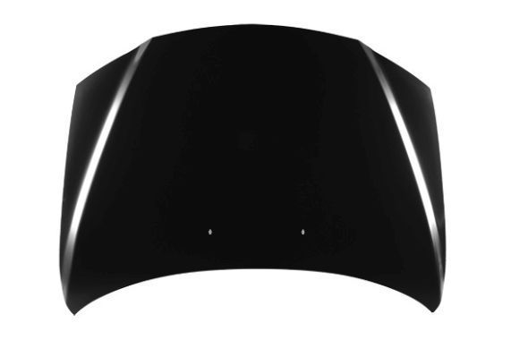 Gaubtas ABAKUS 030-11-100