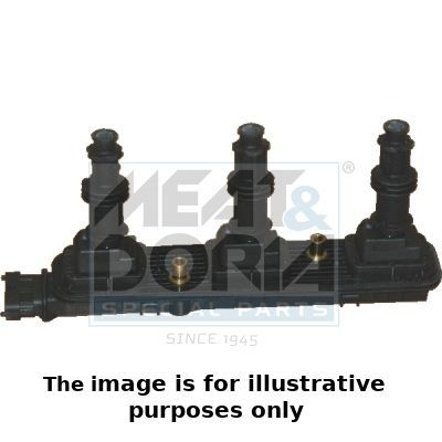 Ritė, uždegimas MEAT & DORIA 10508E