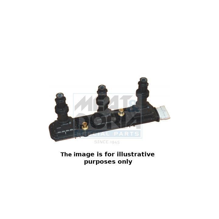 Ritė, uždegimas MEAT & DORIA 10522E