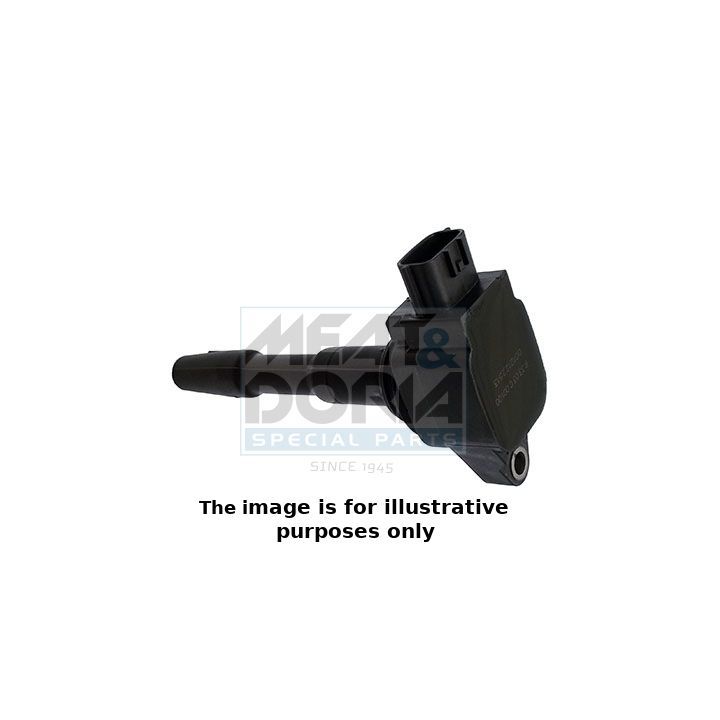 Ritė, uždegimas MEAT & DORIA 10713E