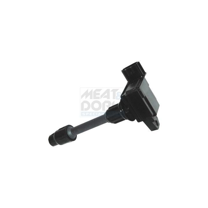 Ritė, uždegimas MEAT & DORIA 10745