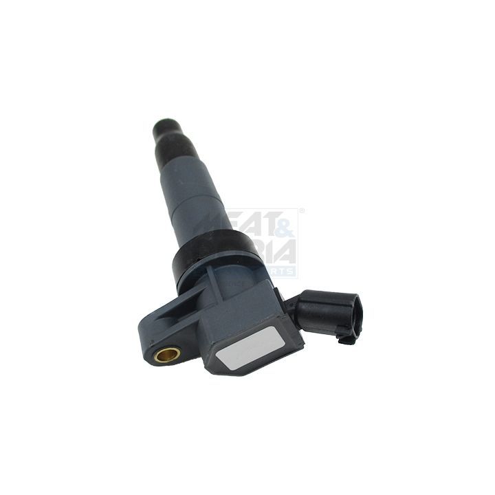 Ritė, uždegimas MEAT & DORIA 10829