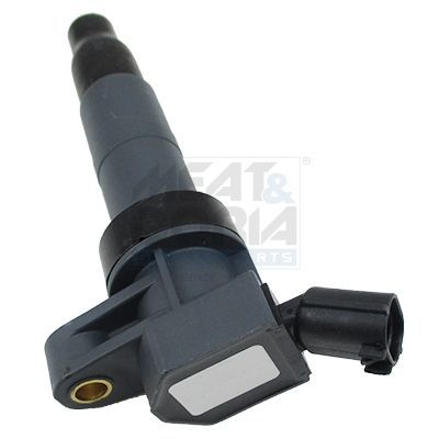 Ritė, uždegimas MEAT & DORIA 10829