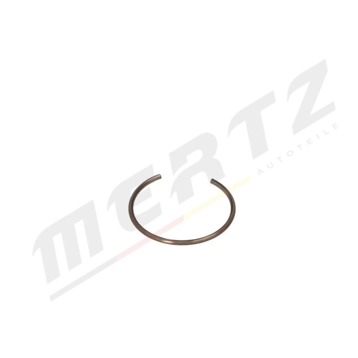 Šarnyras / girgždukas MERTZ M-S2052