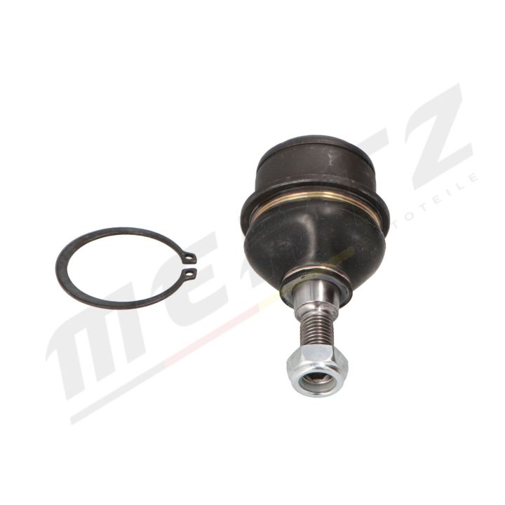 Šarnyras / girgždukas MERTZ M-S2174