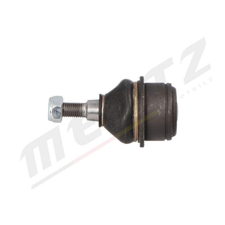 Šarnyras / girgždukas MERTZ M-S2174