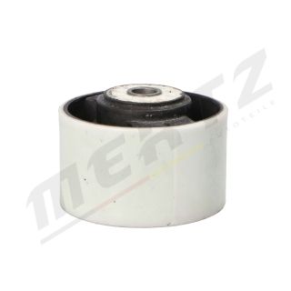 Variklio montavimas MERTZ M-S4123