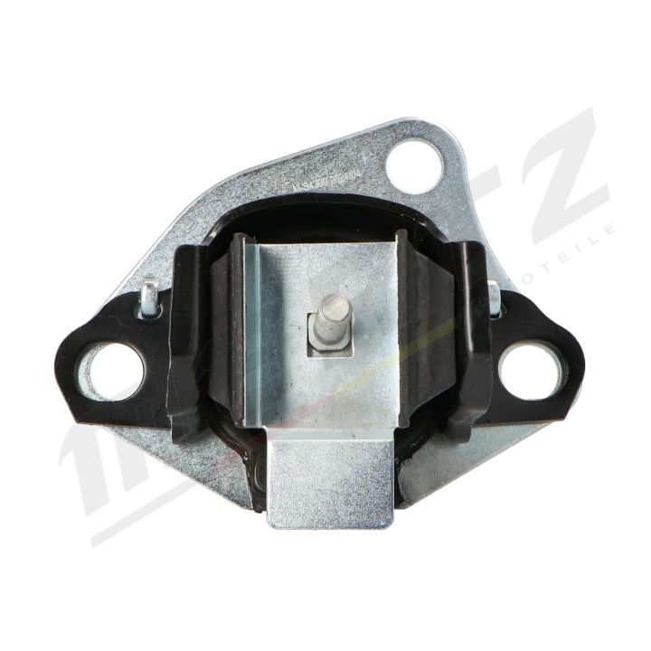 Variklio montavimas MERTZ M-S4309