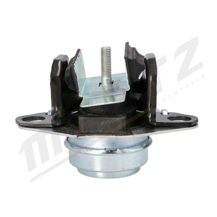 Variklio montavimas MERTZ M-S4309