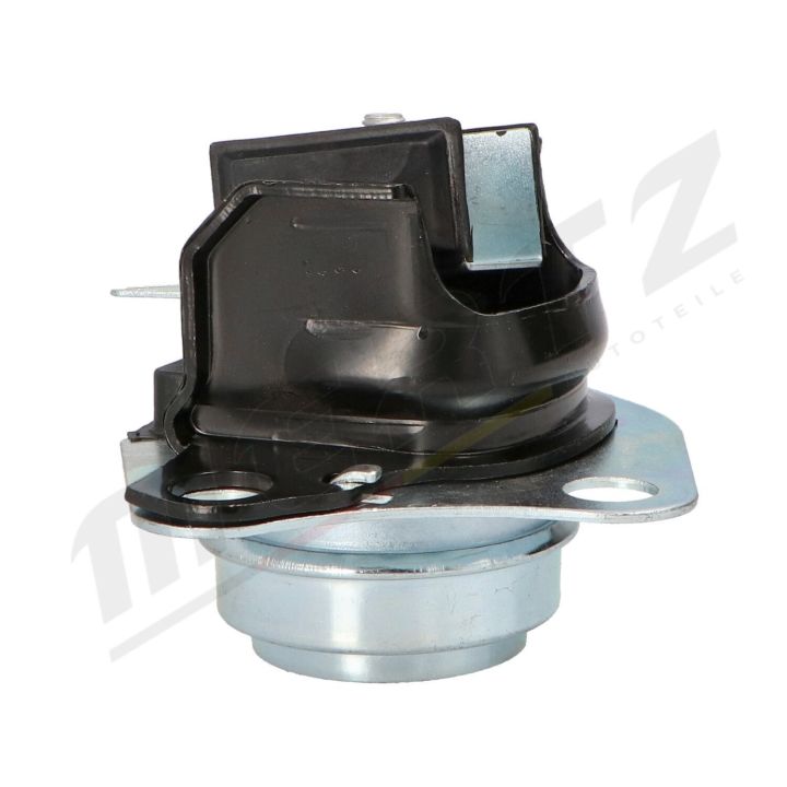 Variklio montavimas MERTZ M-S4309