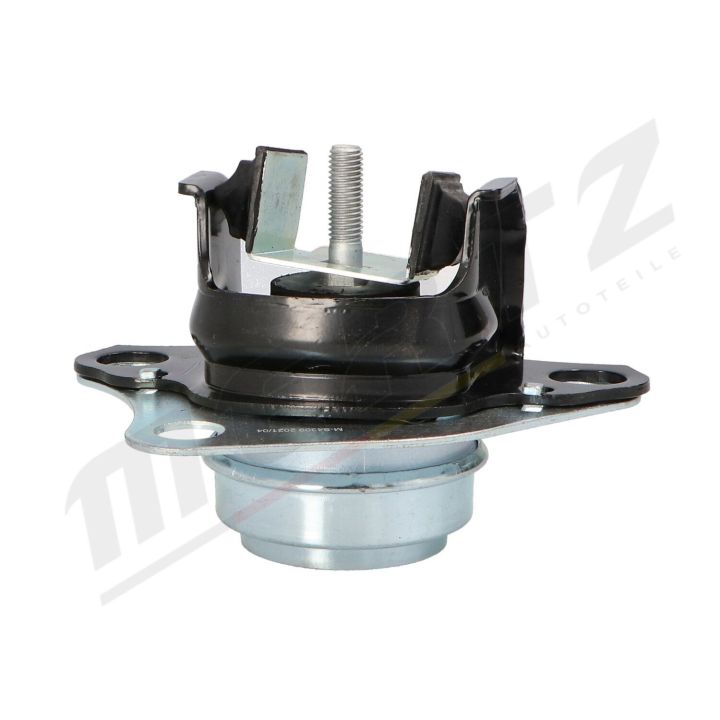 Variklio montavimas MERTZ M-S4309