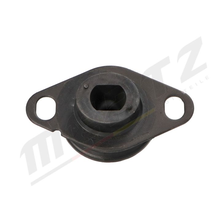 Variklio montavimas MERTZ M-S4310