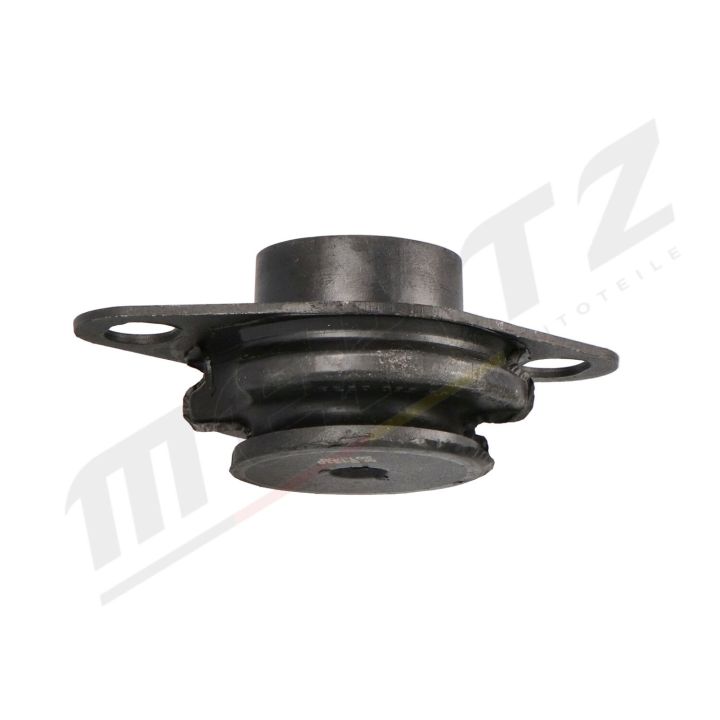 Variklio montavimas MERTZ M-S4310