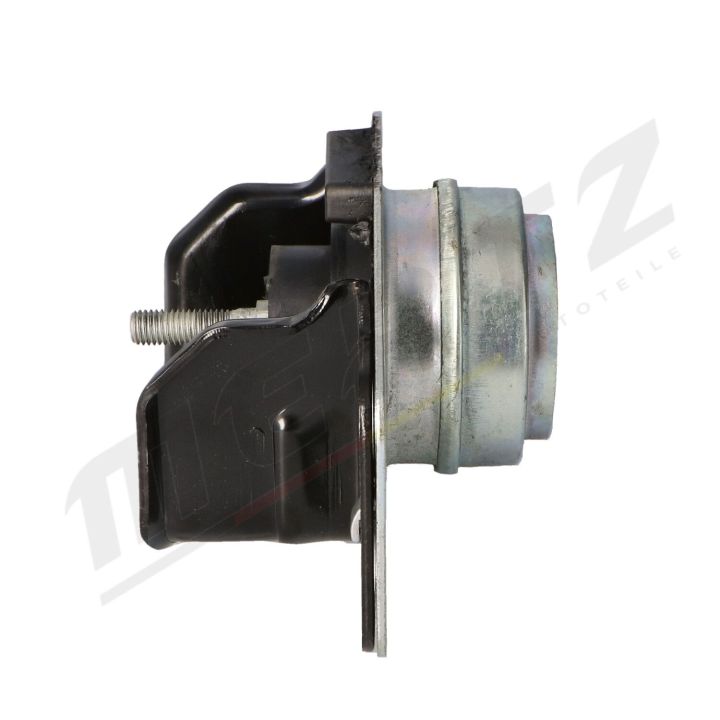 Variklio montavimas MERTZ M-S4311