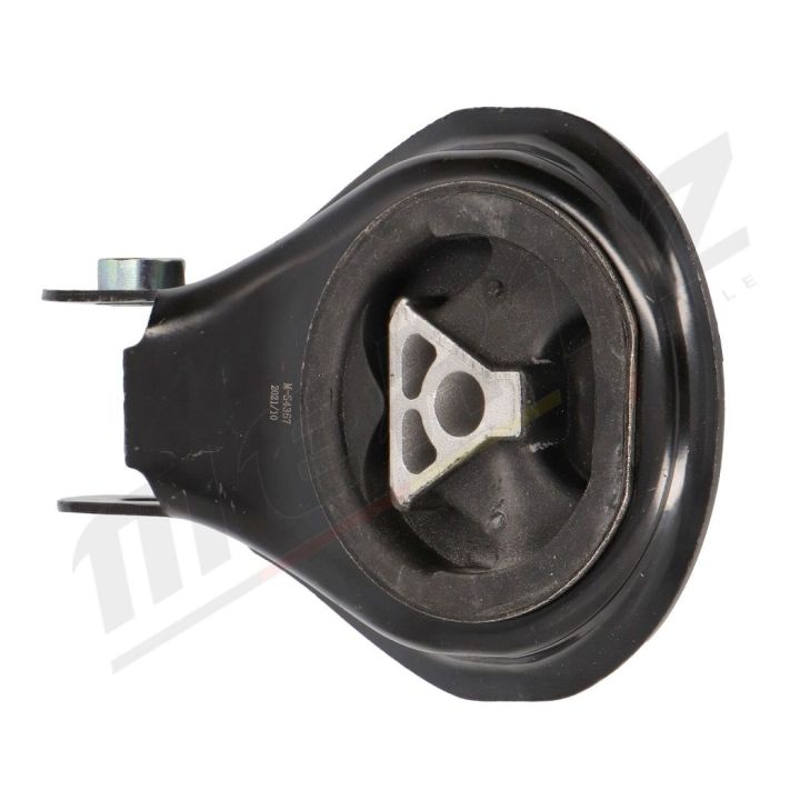 Variklio montavimas MERTZ M-S4367