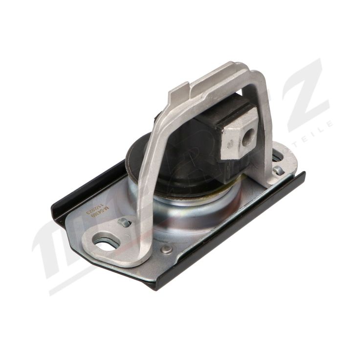 Variklio montavimas MERTZ M-S4369