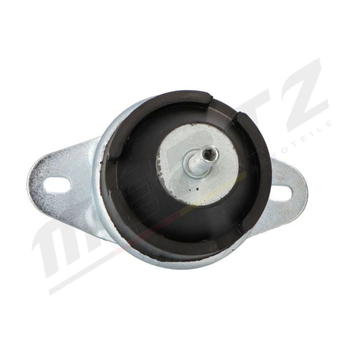 Variklio montavimas MERTZ M-S4420