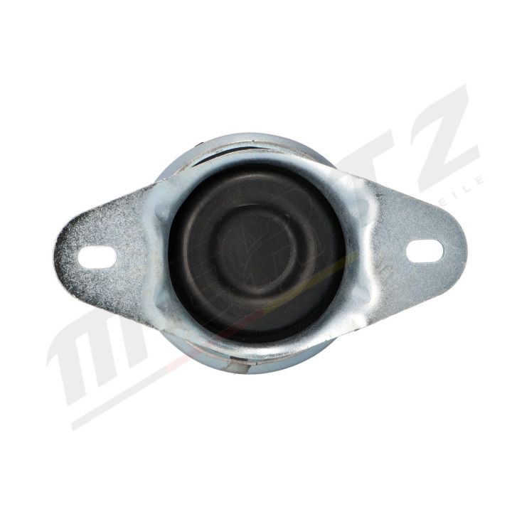 Variklio montavimas MERTZ M-S4420