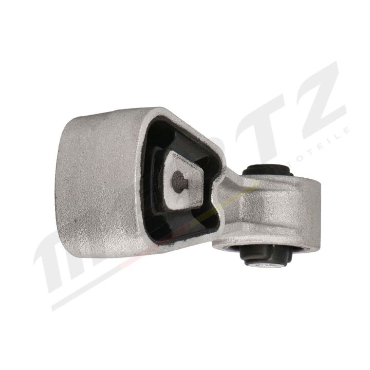 Variklio montavimas MERTZ M-S4432