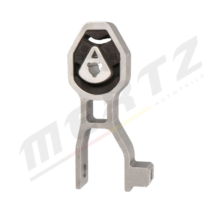 Variklio montavimas MERTZ M-S4605