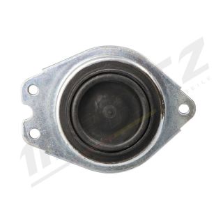 Variklio montavimas MERTZ M-S4654