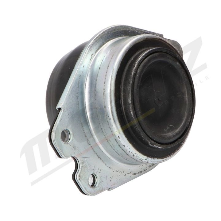 Variklio montavimas MERTZ M-S4654