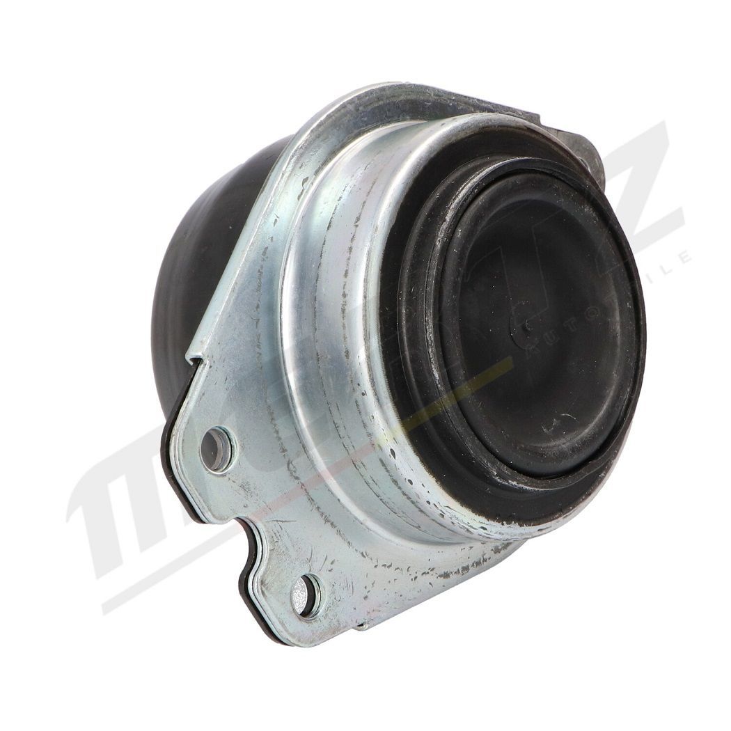 Variklio montavimas MERTZ M-S4654