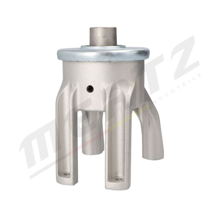 Variklio montavimas MERTZ M-S4788