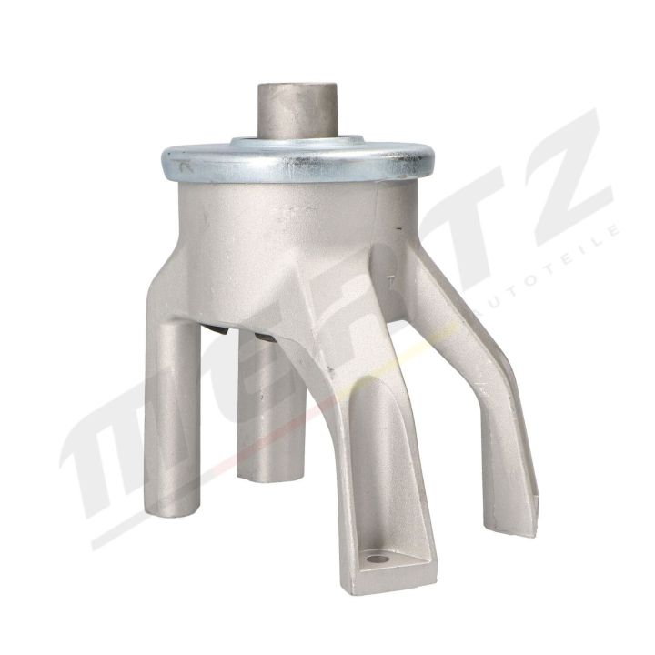 Variklio montavimas MERTZ M-S4788