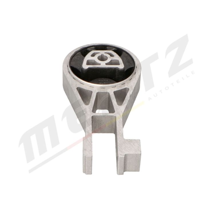 Variklio montavimas MERTZ M-S4872