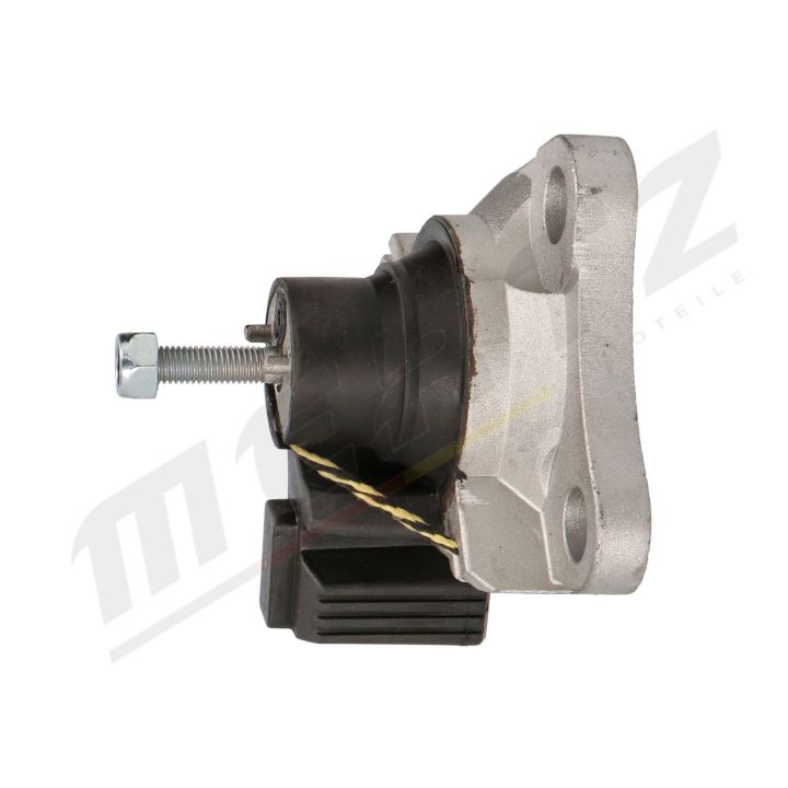 Variklio montavimas MERTZ M-S4873