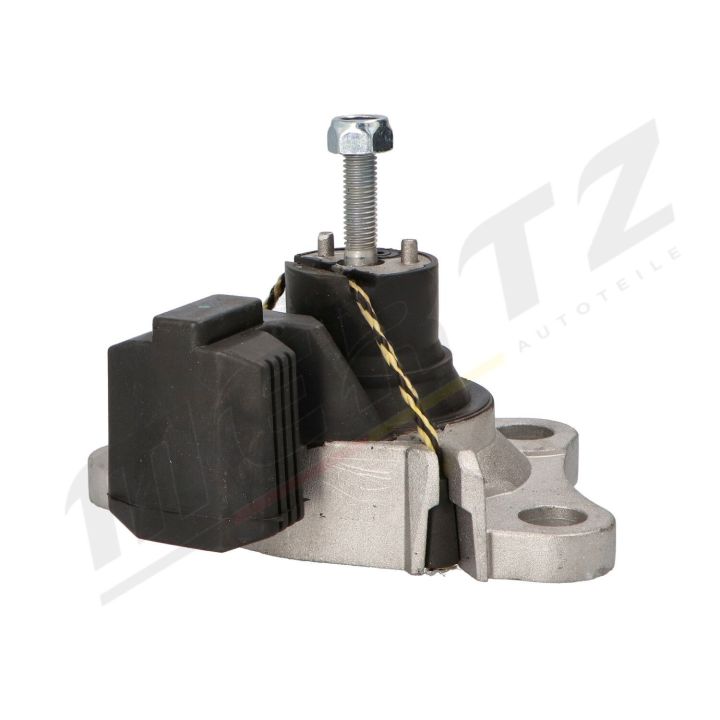 Variklio montavimas MERTZ M-S4873