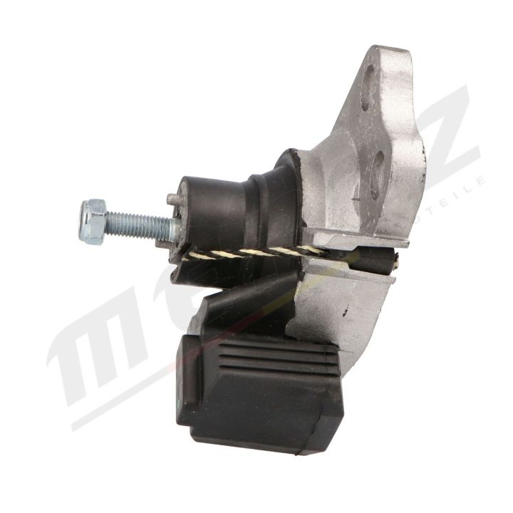 Variklio montavimas MERTZ M-S4874