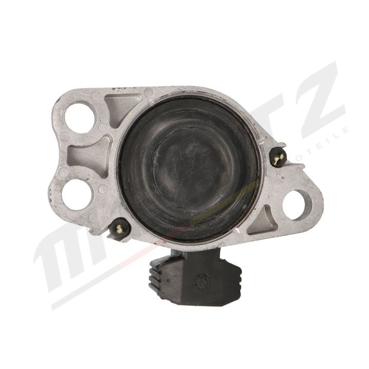 Variklio montavimas MERTZ M-S4874