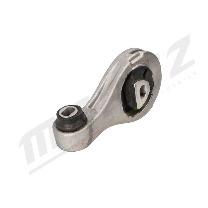 Variklio montavimas MERTZ M-S4883