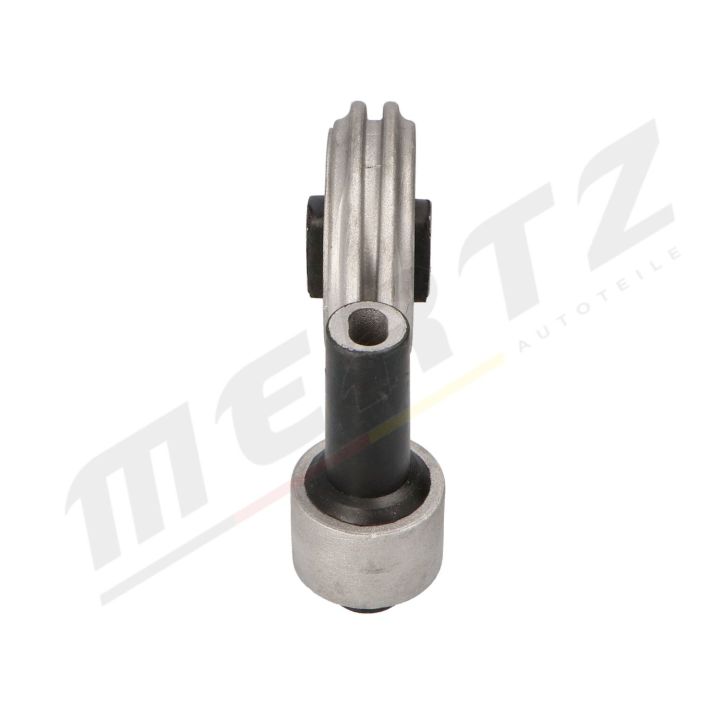 Variklio montavimas MERTZ M-S4886