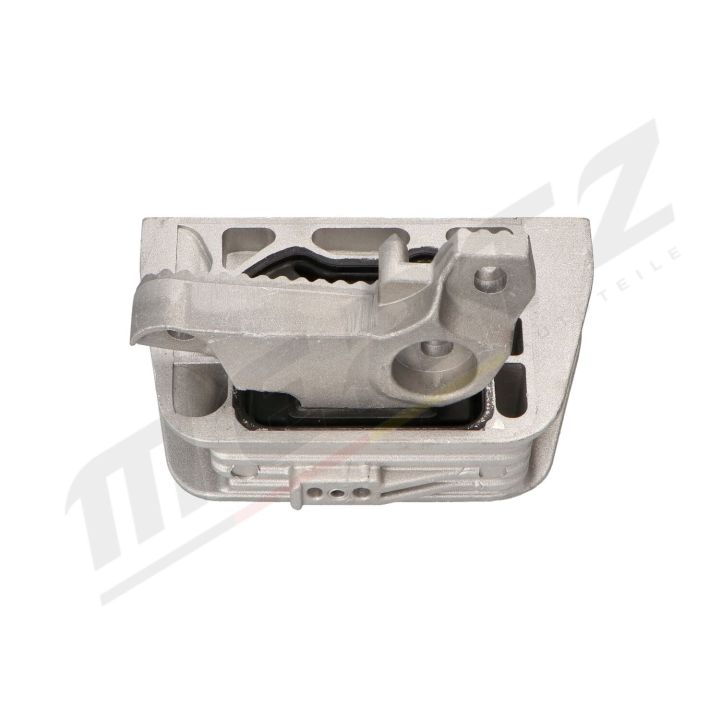 Variklio montavimas MERTZ M-S4889