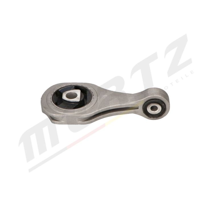 Variklio montavimas MERTZ M-S4895